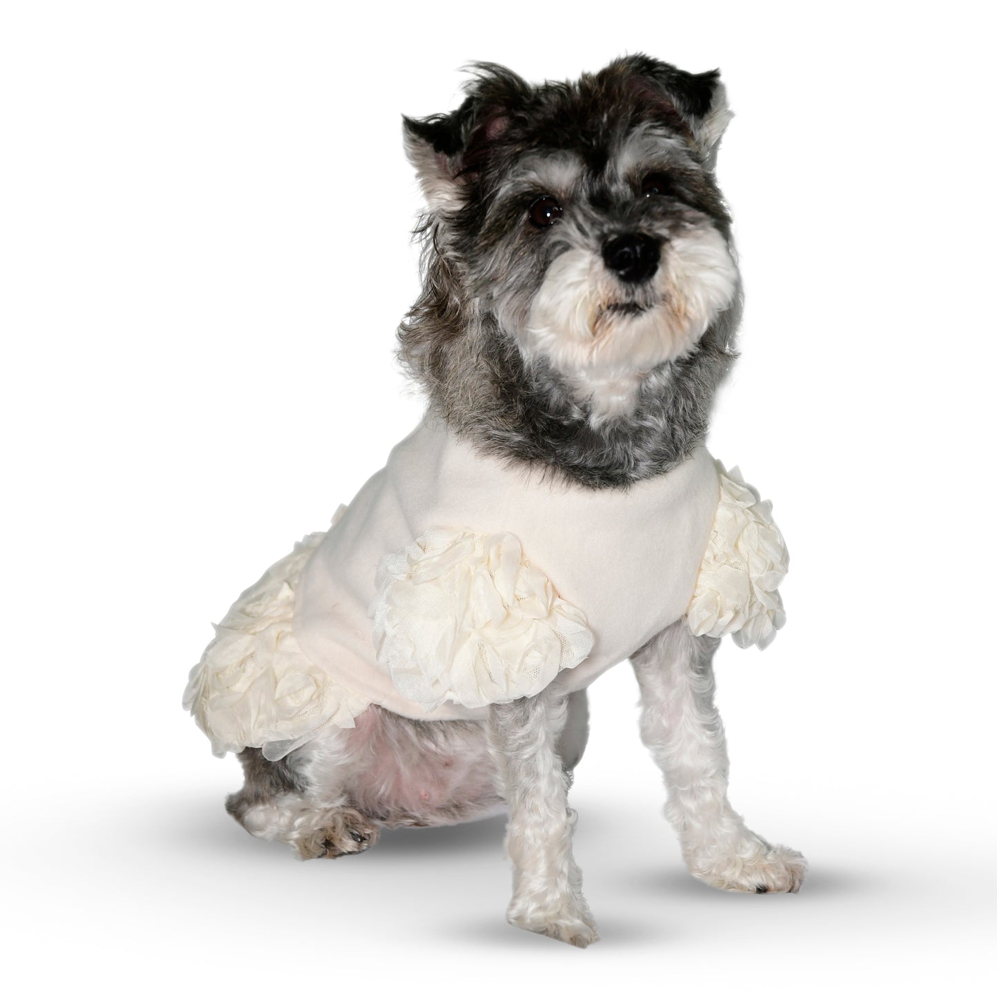 Rose Fleece Pet Dress