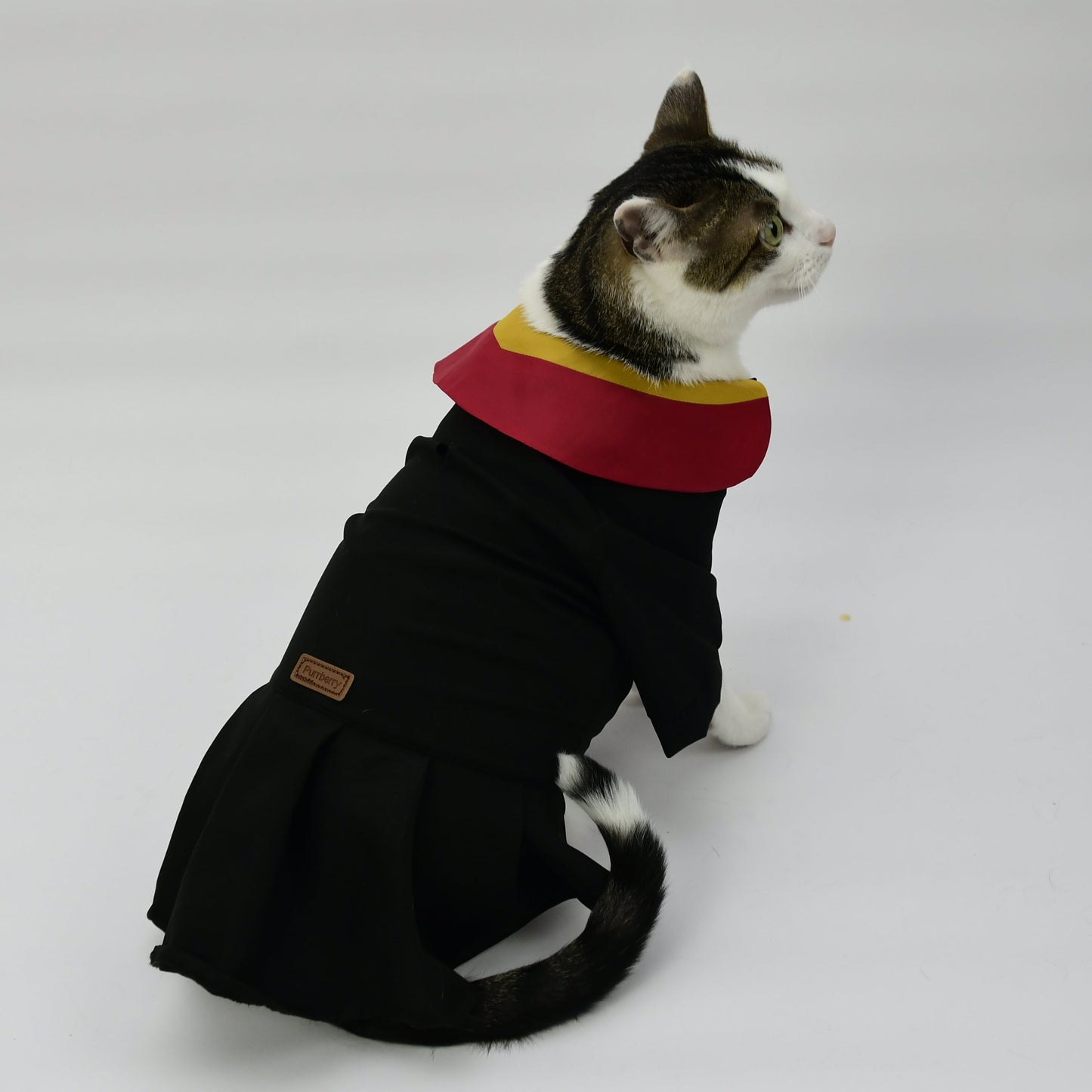 Graduation Costume for Dog and Cat - Black and Red