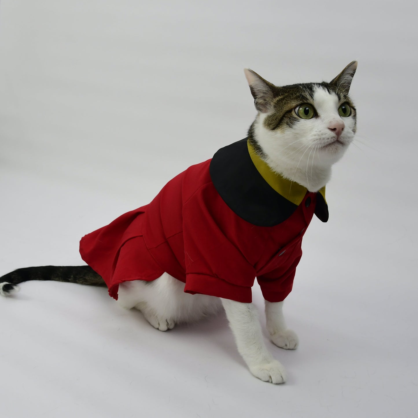 Graduation Costume for Dog and Cat - Red