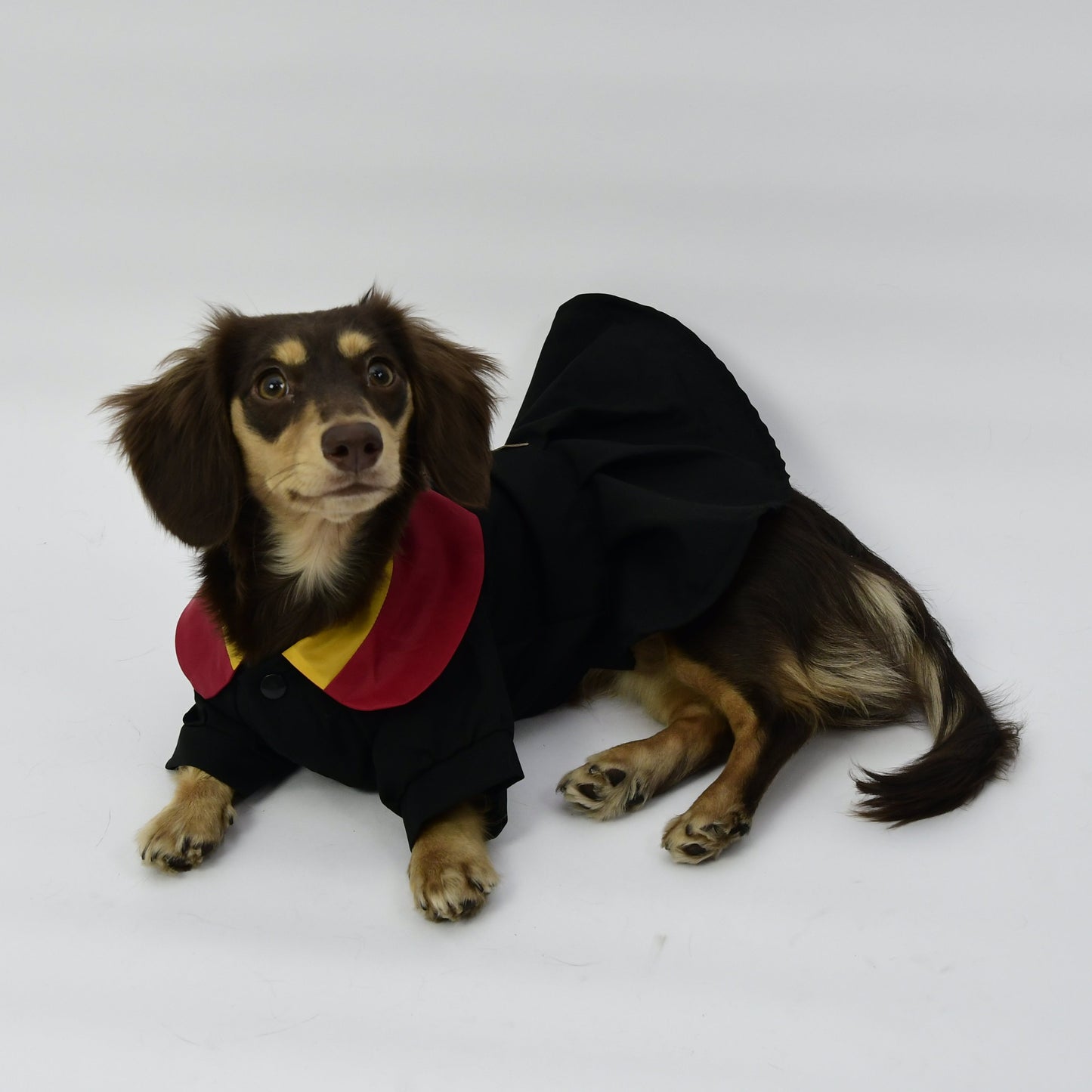 Graduation Costume for Dog and Cat - Black and Red