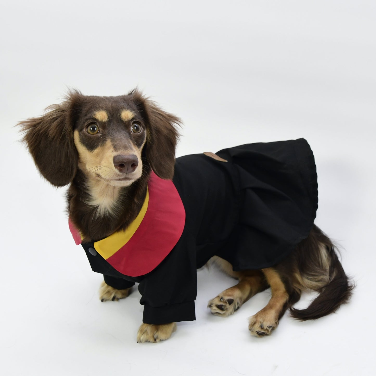 Graduation Costume for Dog and Cat - Black and Red