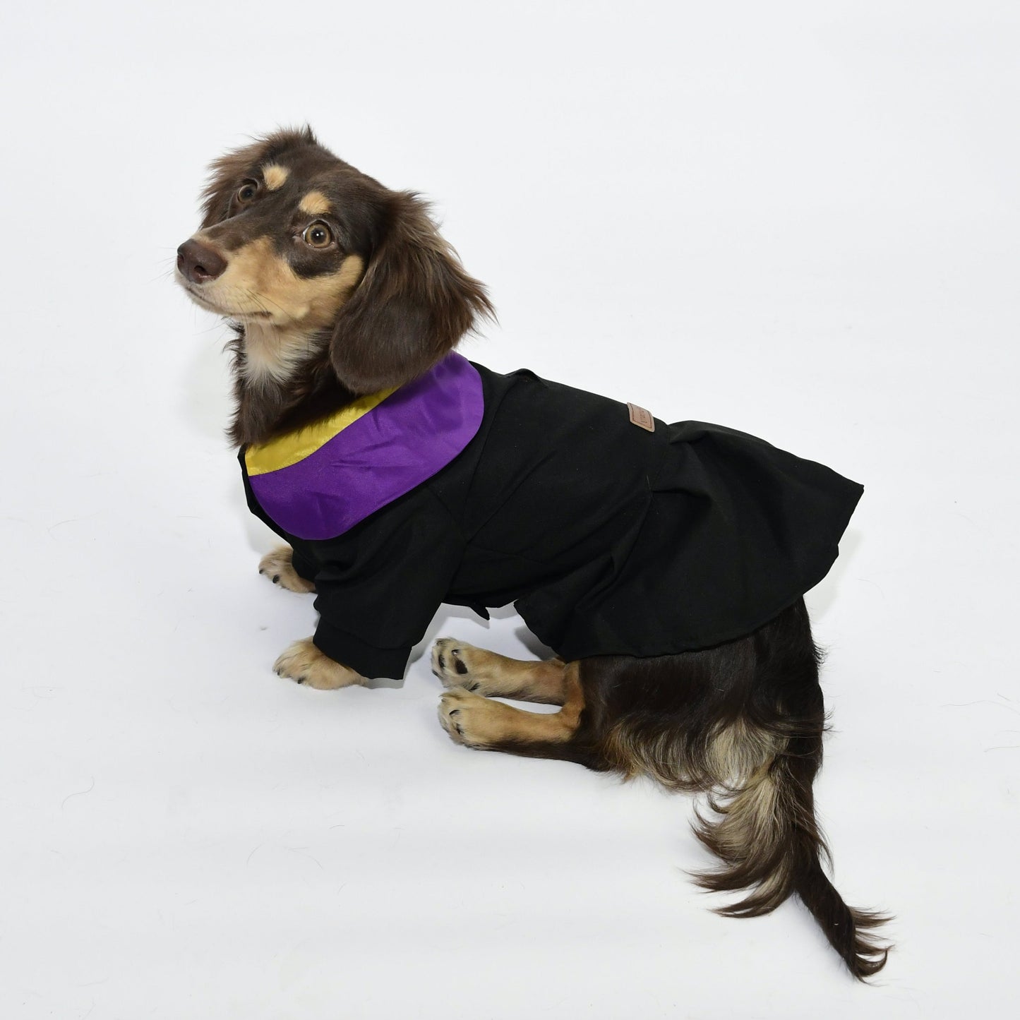 Graduation Costume for Dog and Cat - Black and Purple