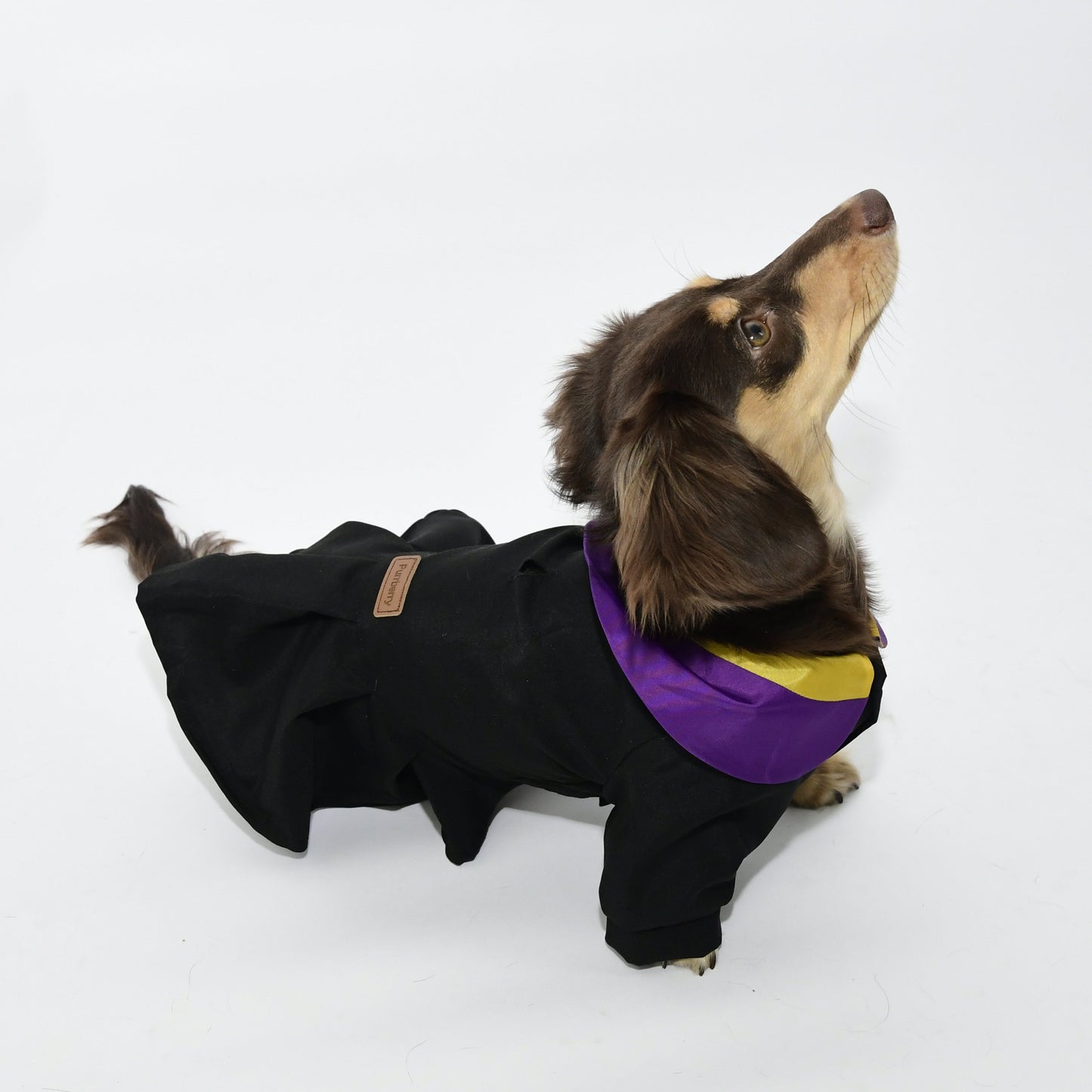 Graduation Costume for Dog and Cat - Black and Purple