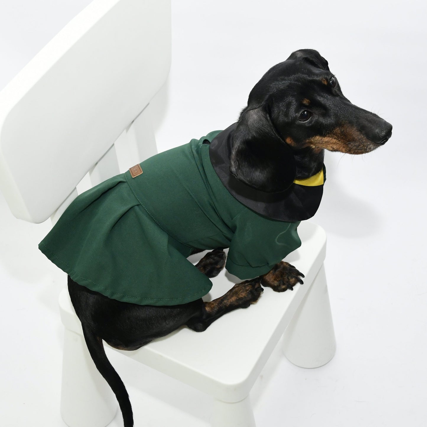 Graduation Costume for Dog and Cat - Green