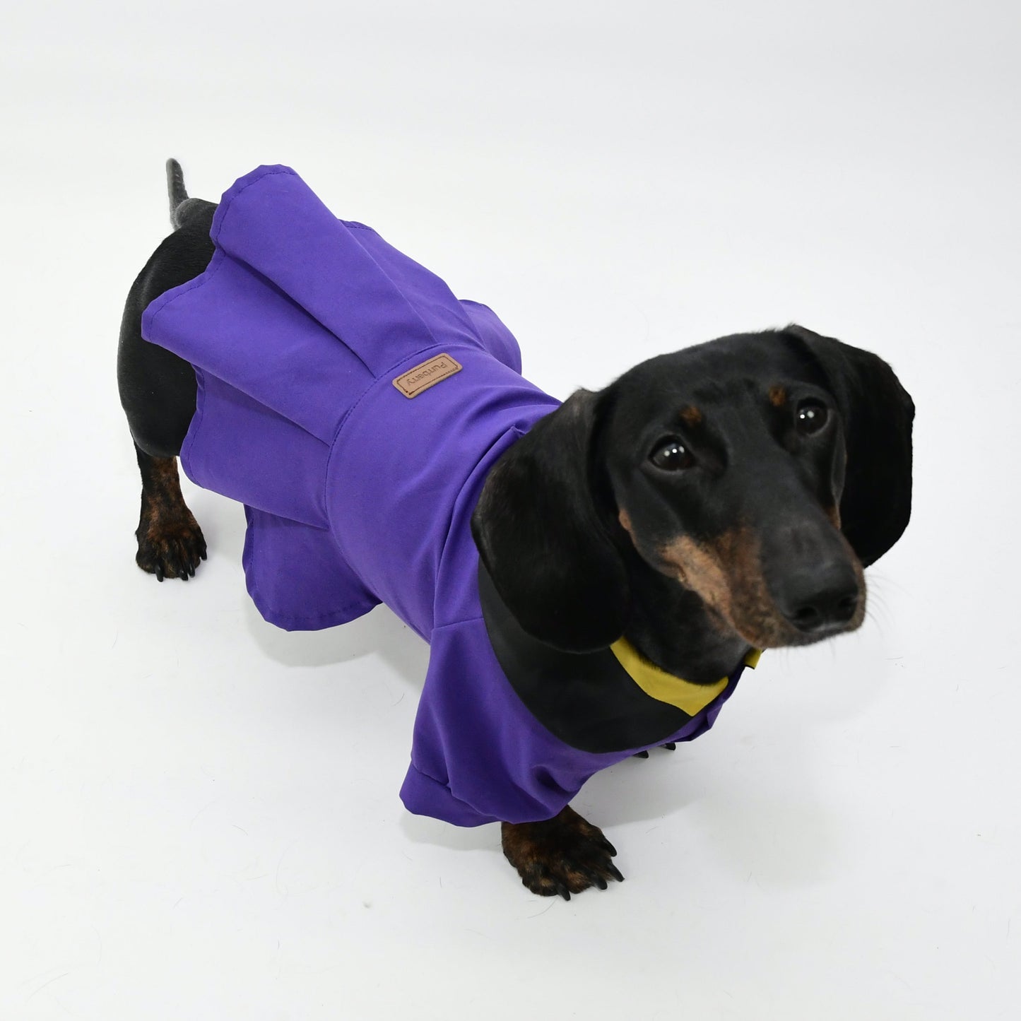 Graduation Costume for Dog and Cat-Purple