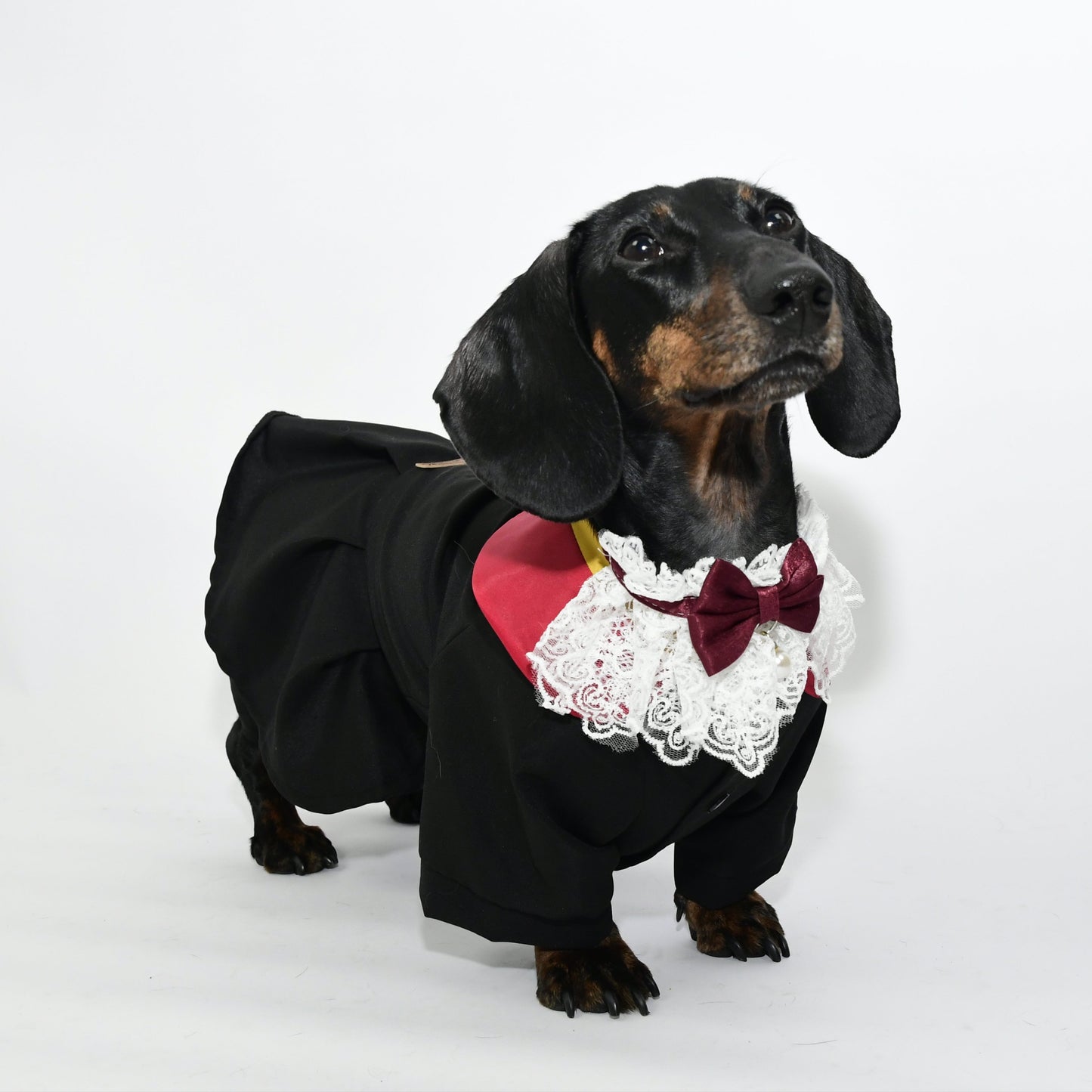 Graduation Costume for Dog and Cat - Black and Red