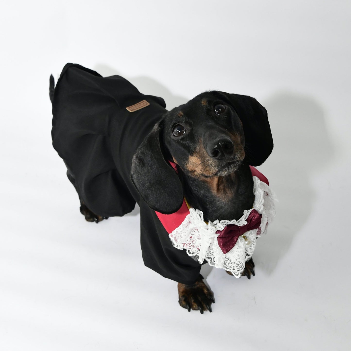 Graduation Costume for Dog and Cat - Black and Red
