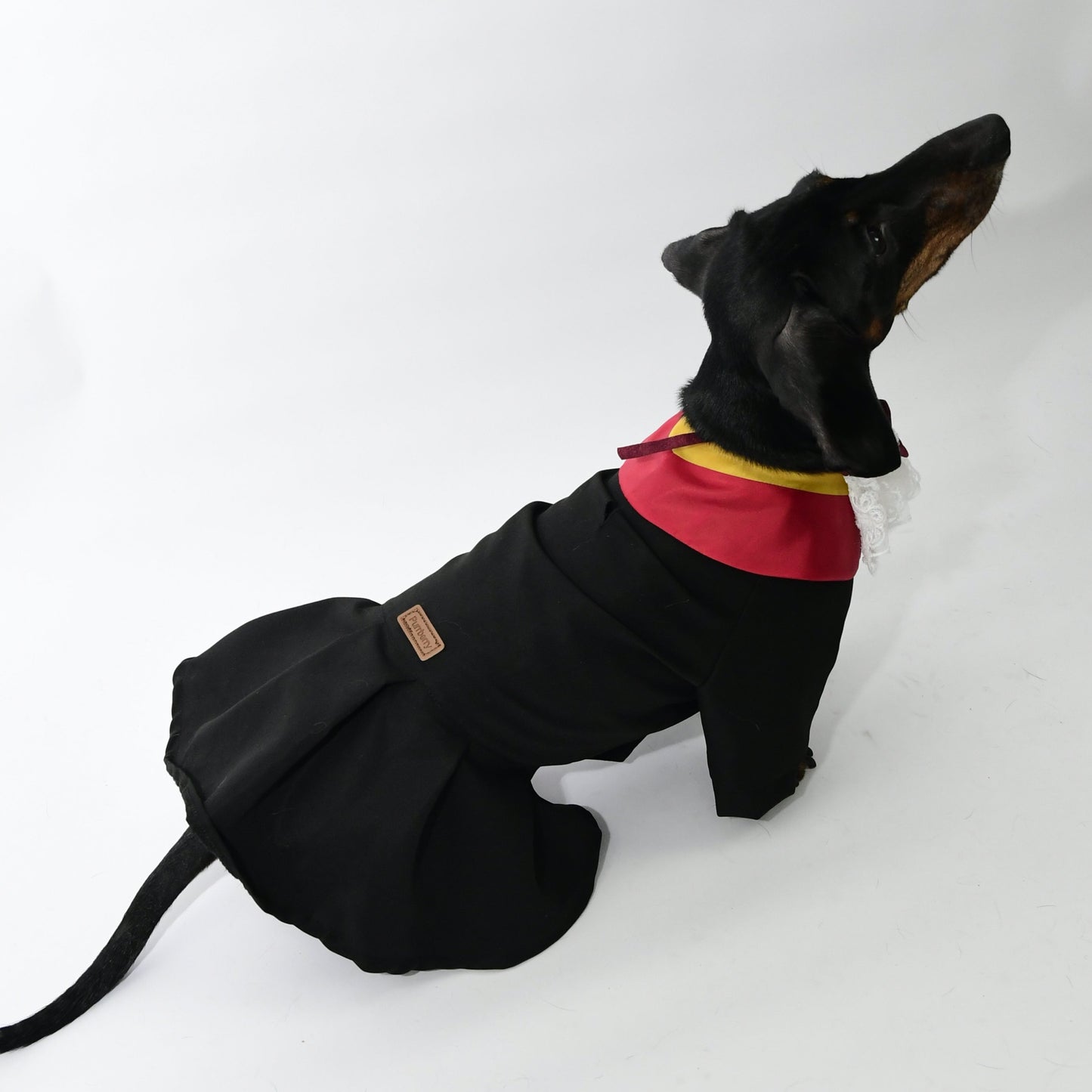 Graduation Costume for Dog and Cat - Black and Red
