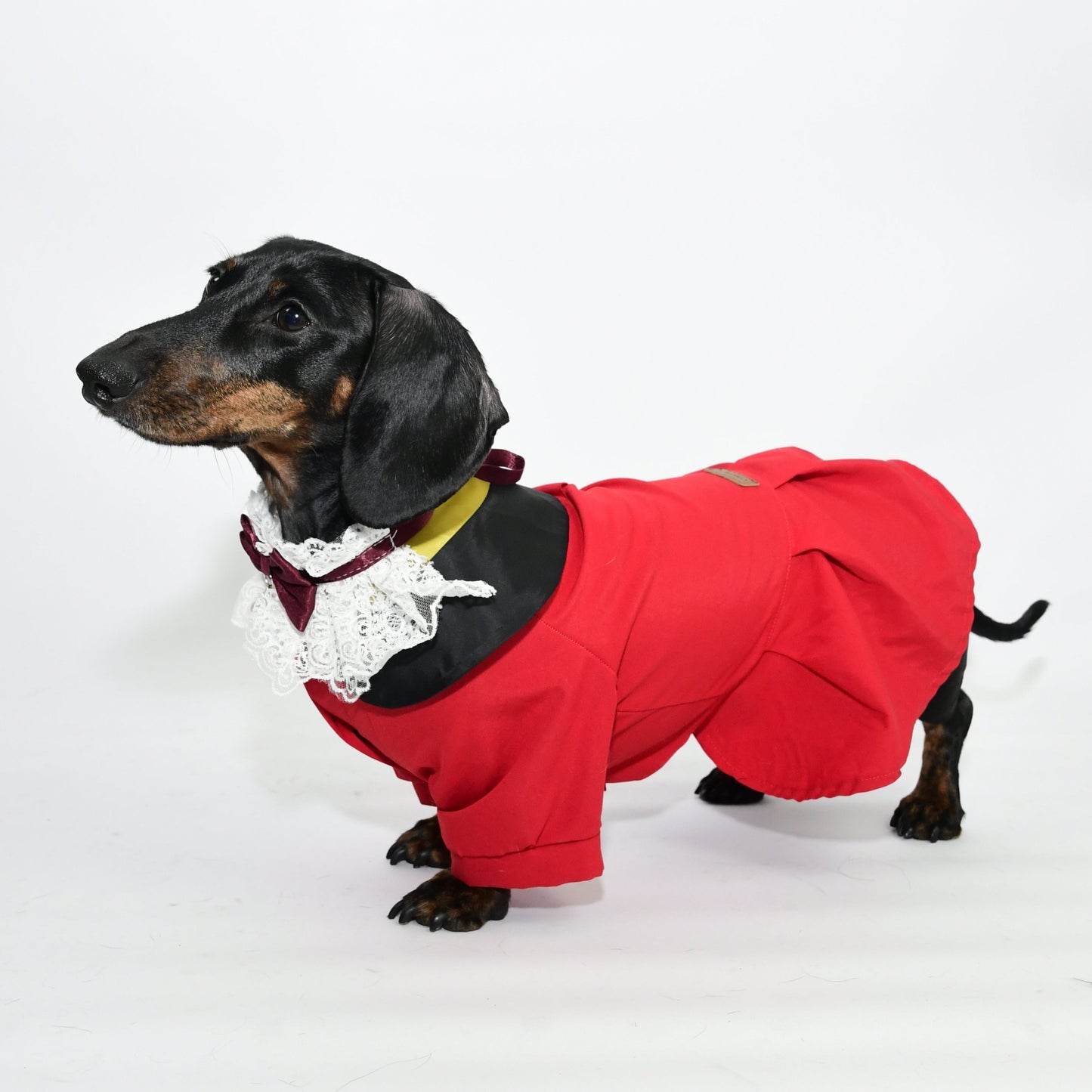 Graduation Costume for Dog and Cat - Red
