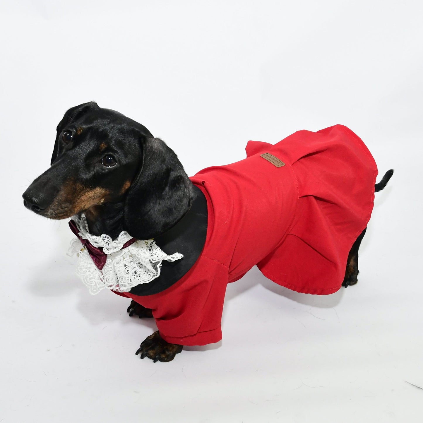 Graduation Costume for Dog and Cat - Red