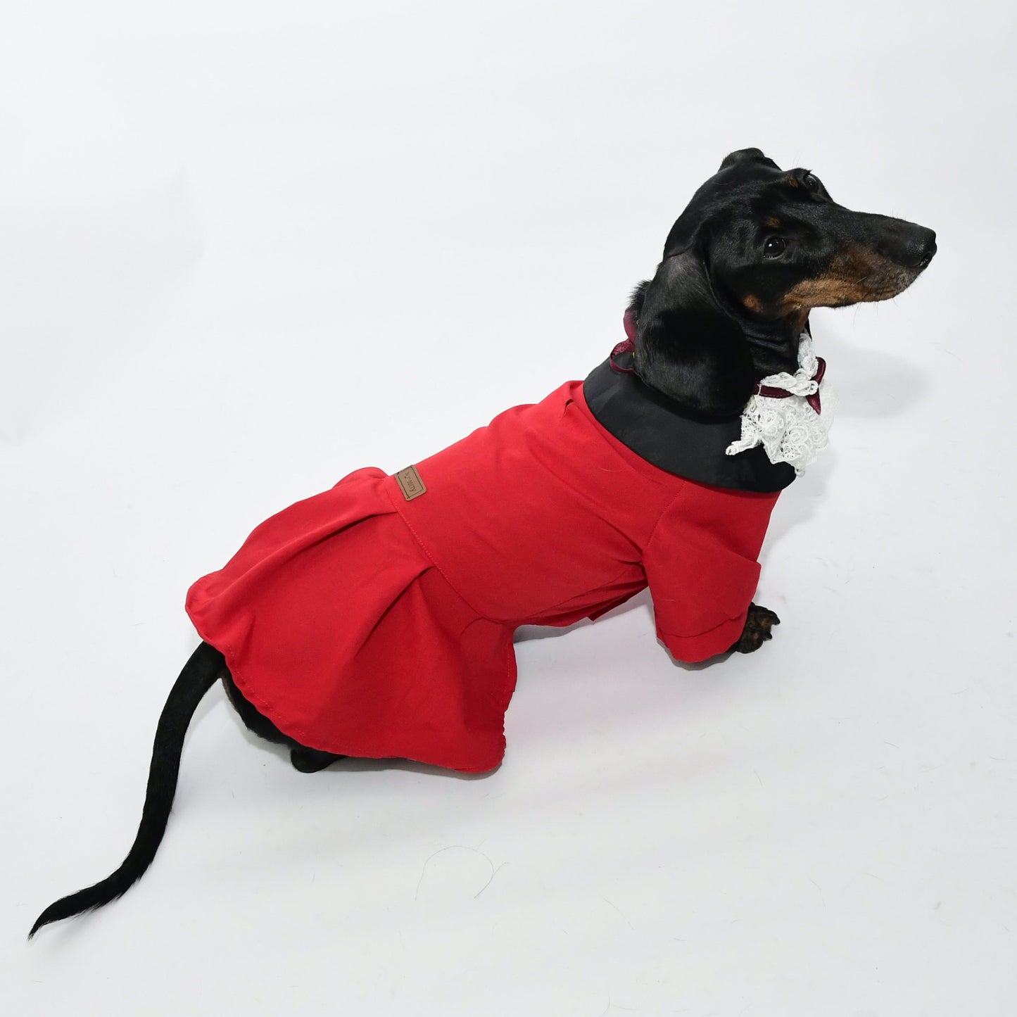 Graduation Costume for Dog and Cat - Red