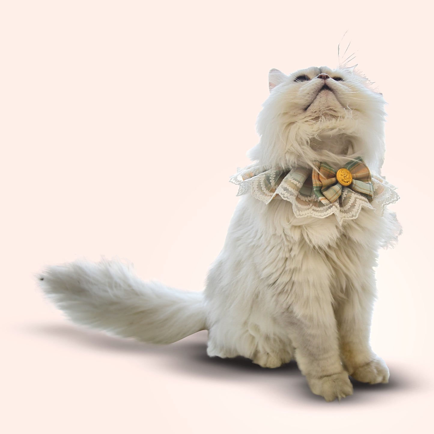 Dirt-Resistant Bow Tie Pet Bandana - Purple