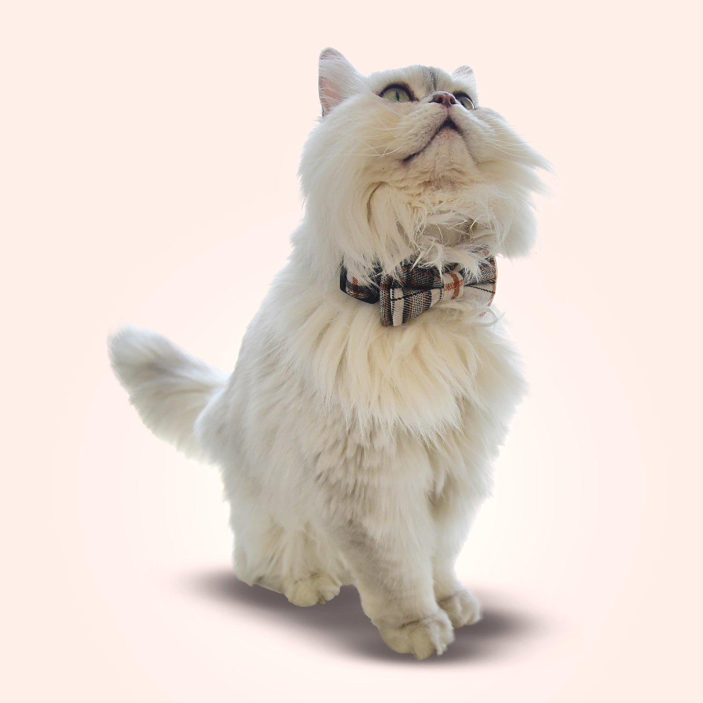 Plaid Bowtie Pet Collar - Khaki