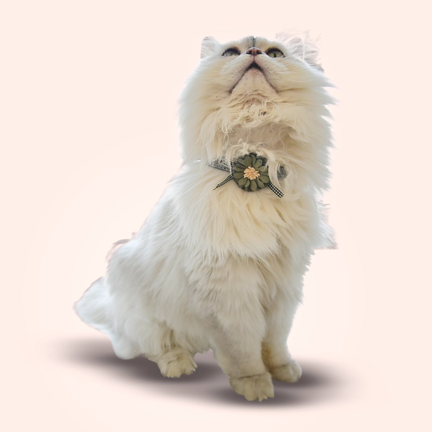 PU Leather Pet Collar - Green