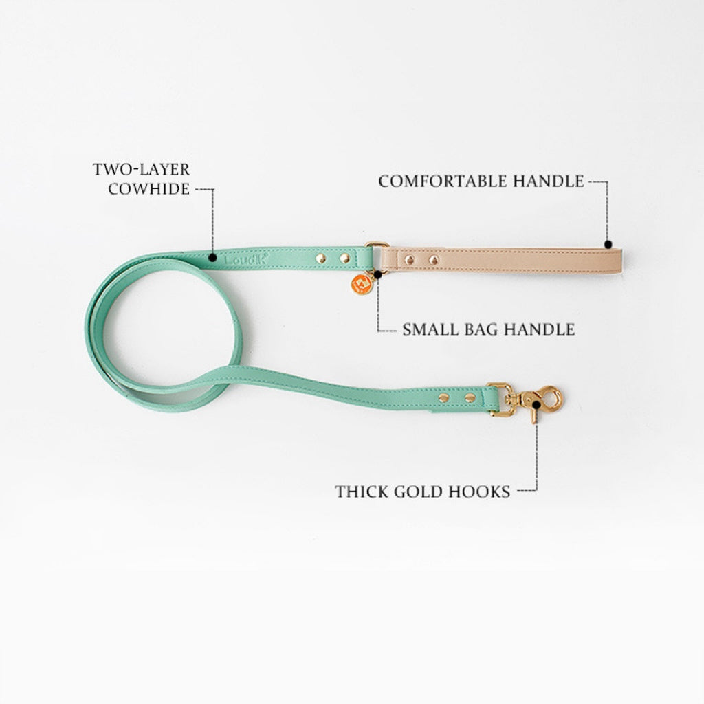 Premium Eco-Friendly Leather Dog Leash - Purple