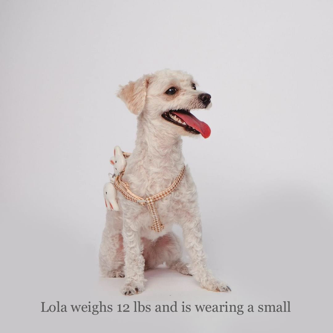 The Beaumont Bunny Harness - Mocha Brown