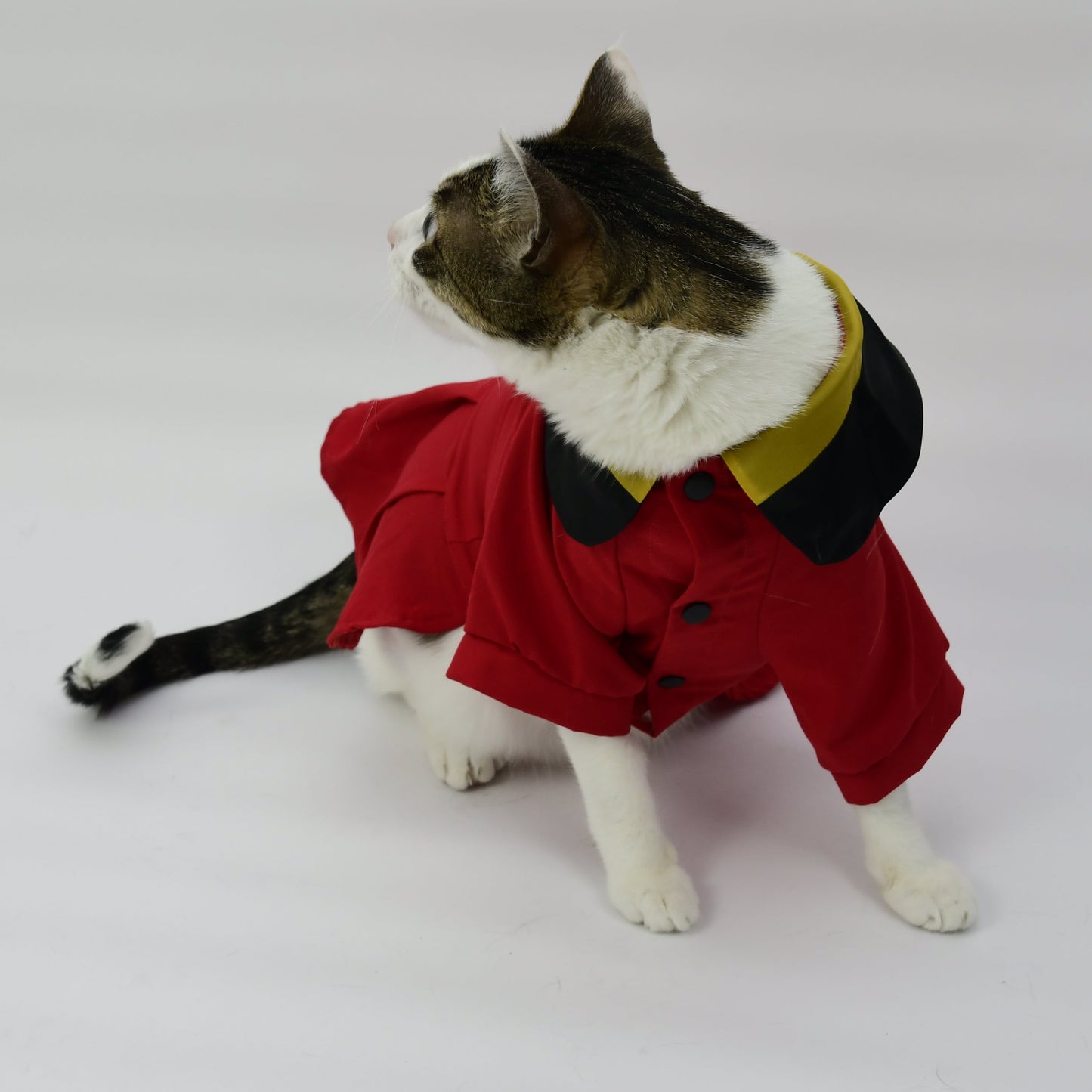Graduation Costume for Dog and Cat - Red