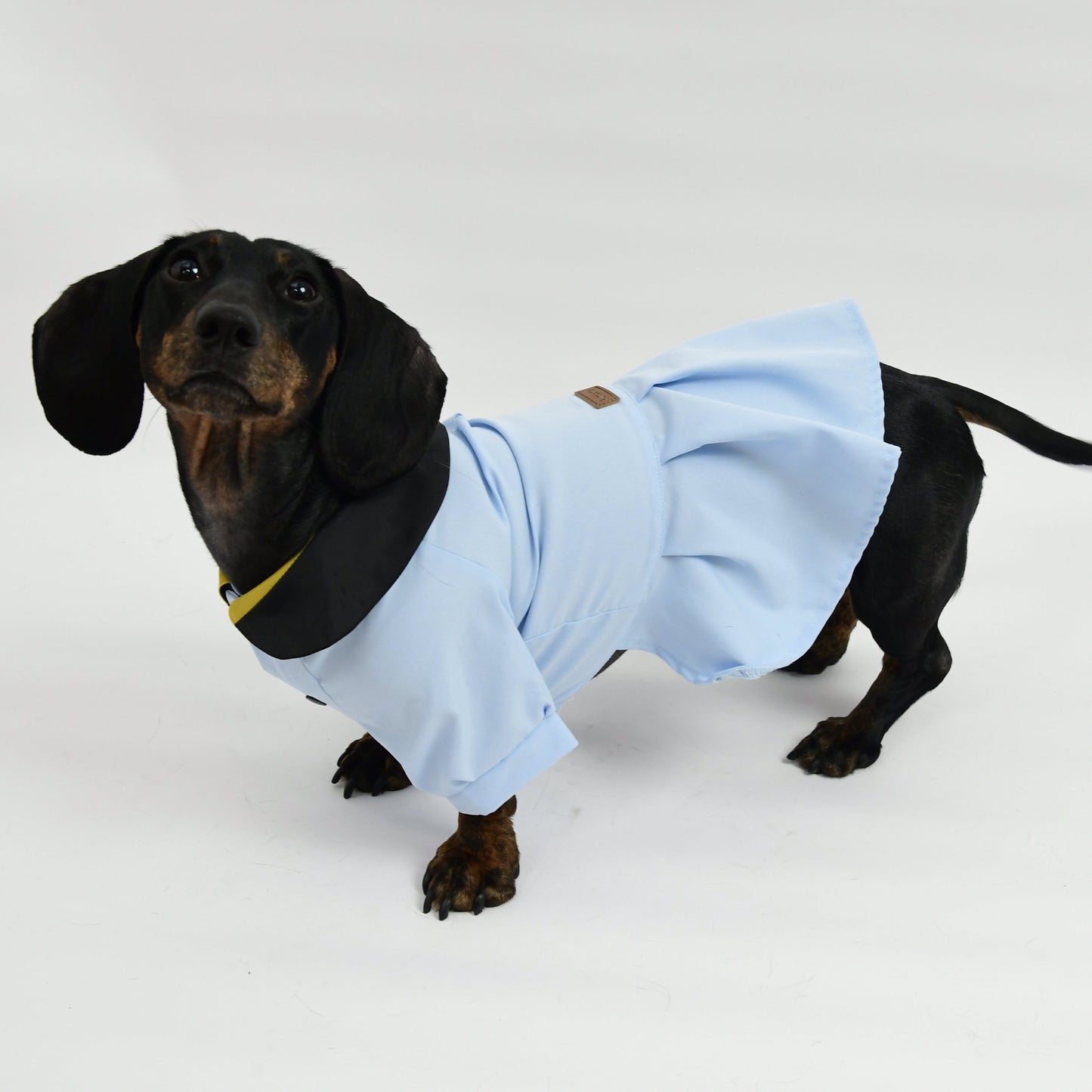 Graduation Costume for Dog and Cat - Sky Blue
