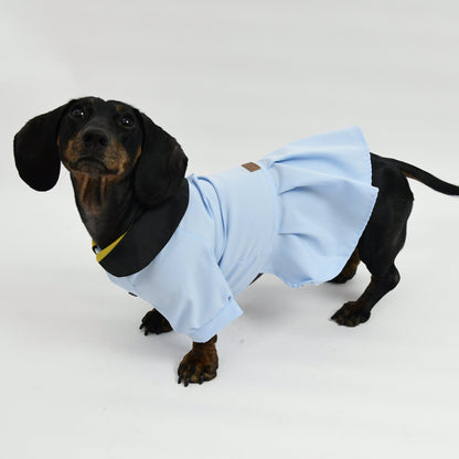 Graduation Costume for Dog and Cat - Sky Blue