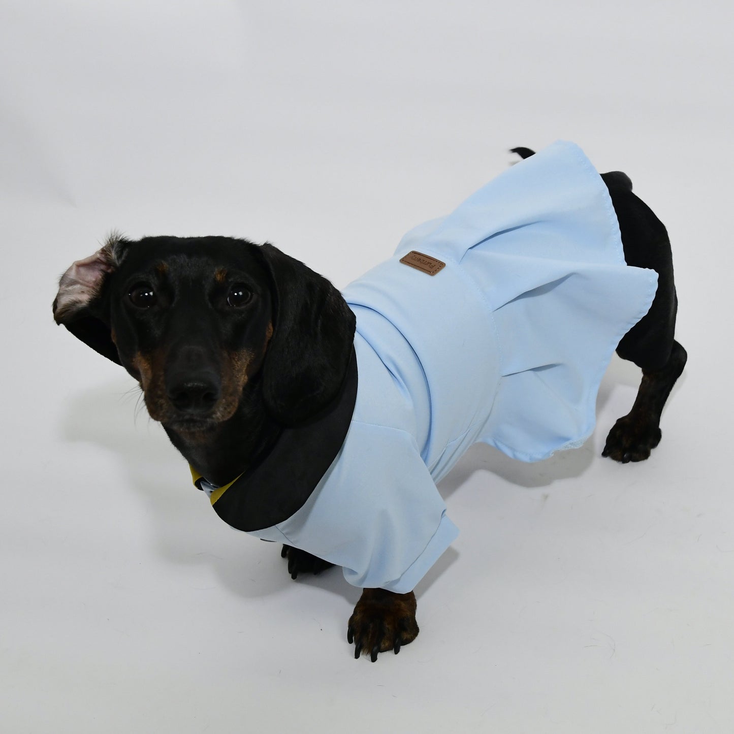 Graduation Costume for Dog and Cat - Sky Blue