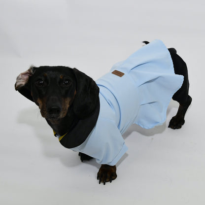 Graduation Costume for Dog and Cat - Sky Blue