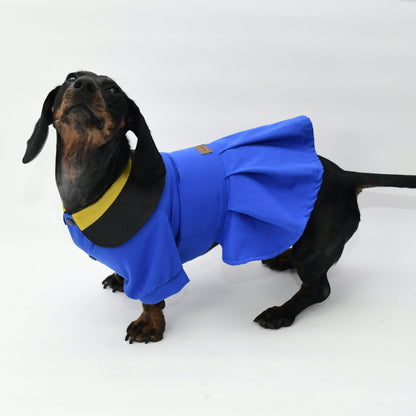 Graduation Costume for Dog and Cat-Blue