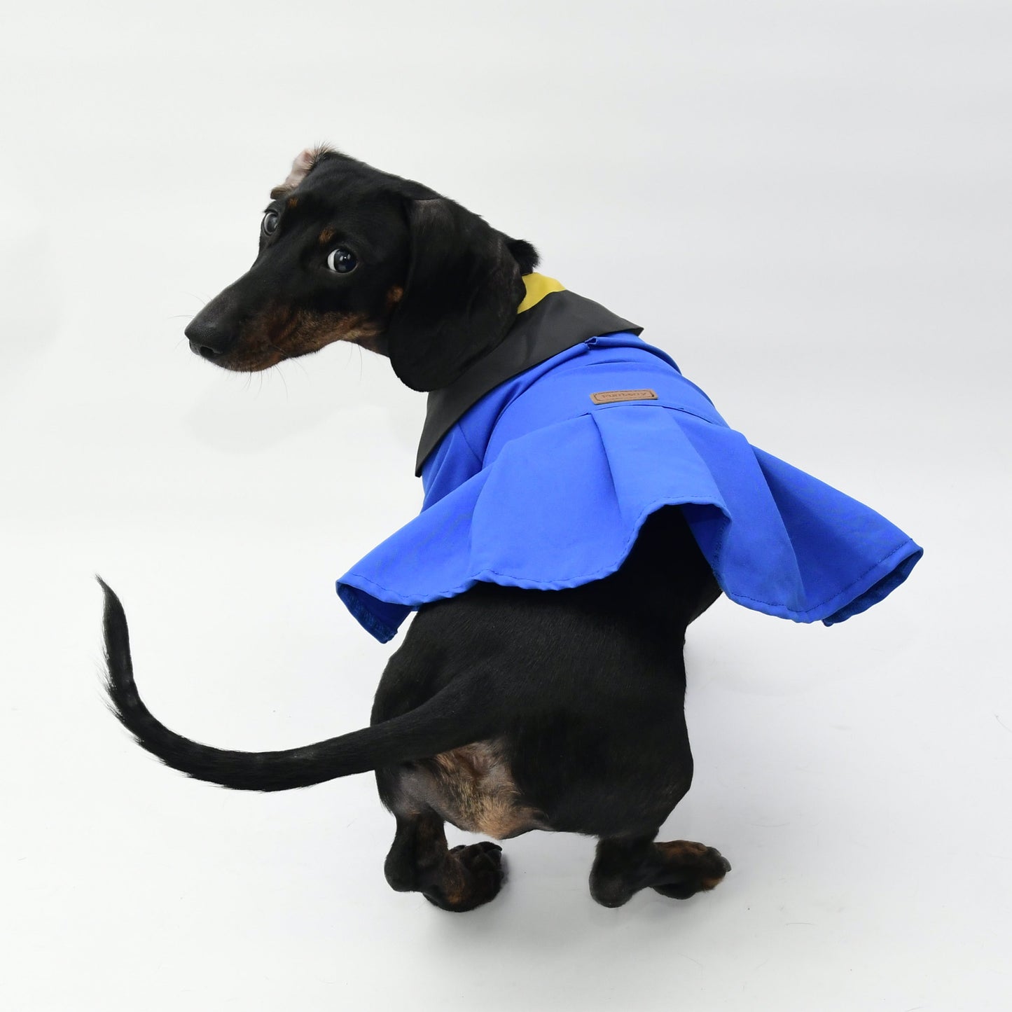 Graduation Costume for Dog and Cat-Blue