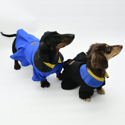 Graduation Costume for Dog and Cat-Blue