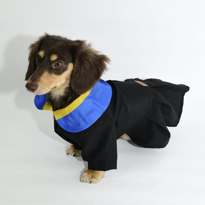 Graduation Costume for Dog and Cat - Black and Blue