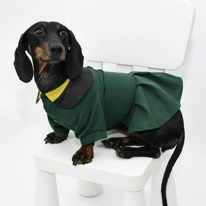 Graduation Costume for Dog and Cat - Green