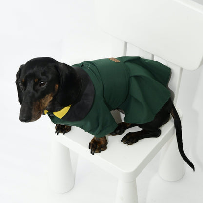 Graduation Costume for Dog and Cat - Green