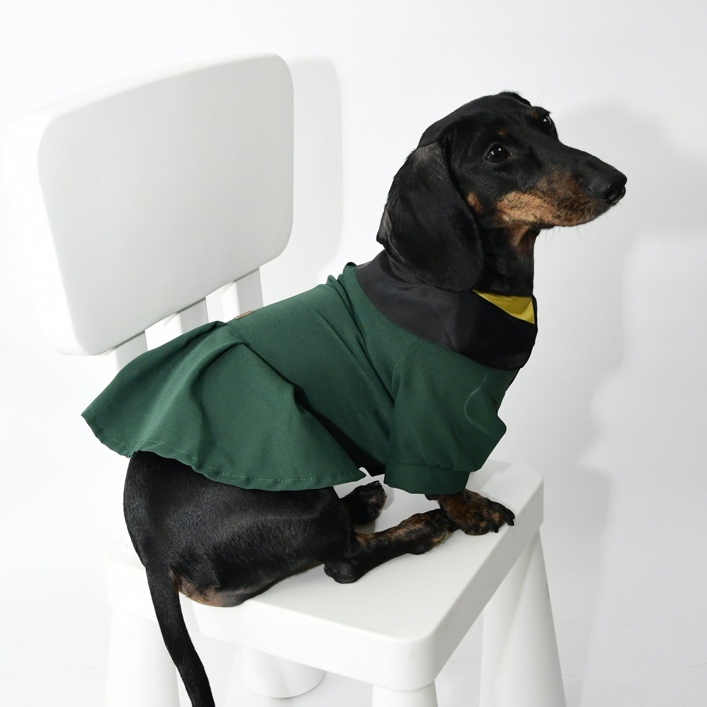 Graduation Costume for Dog and Cat - Green