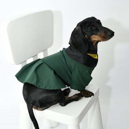 Graduation Costume for Dog and Cat - Green