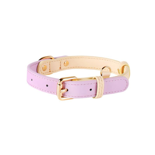 Durable Leather Pet Collar - Purple