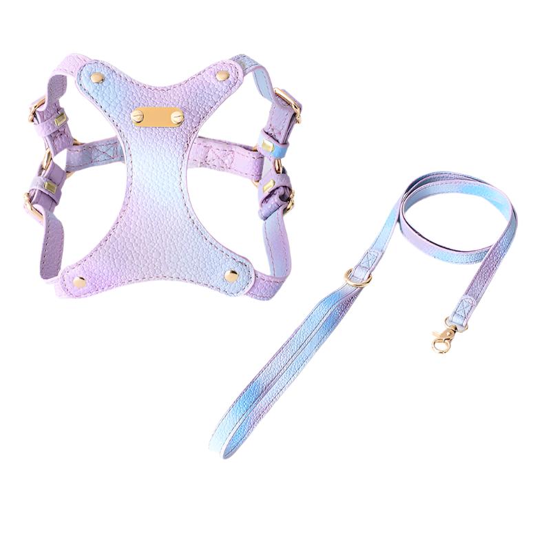 Pastel PU Leather Leash - Purple